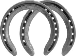 St. Croix Concorde Steel Training Plates